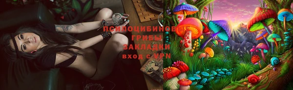 сатива Балахна