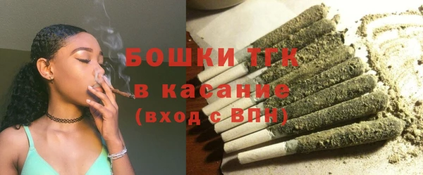 spice Богданович