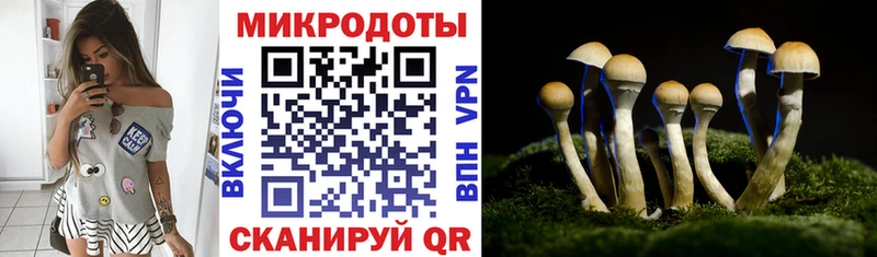 что такое   Северо-Курильск  Галлюциногенные грибы мухоморы 